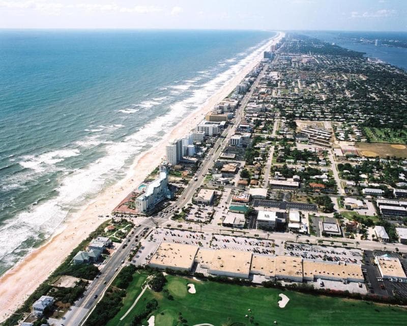 Royal Floridian 4