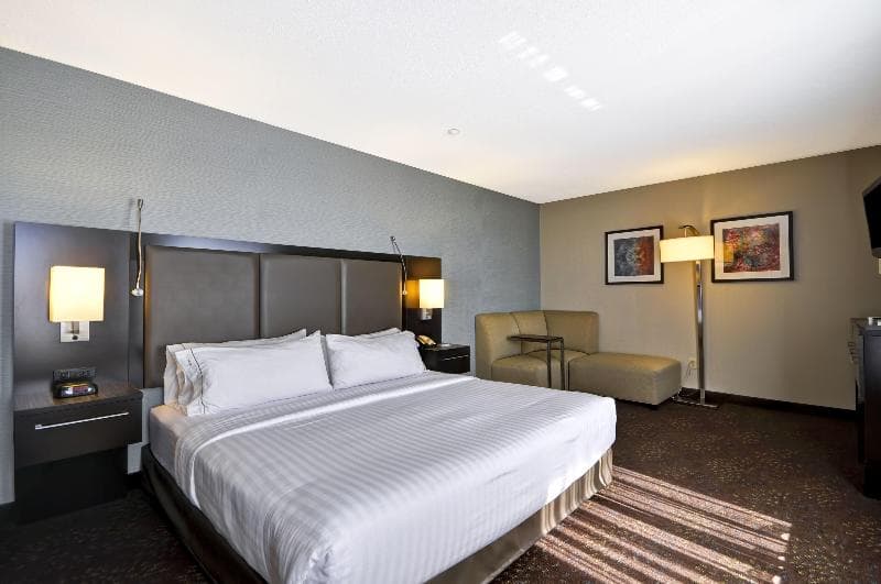 Holiday Inn Express Romulus / Detroit Airport 5