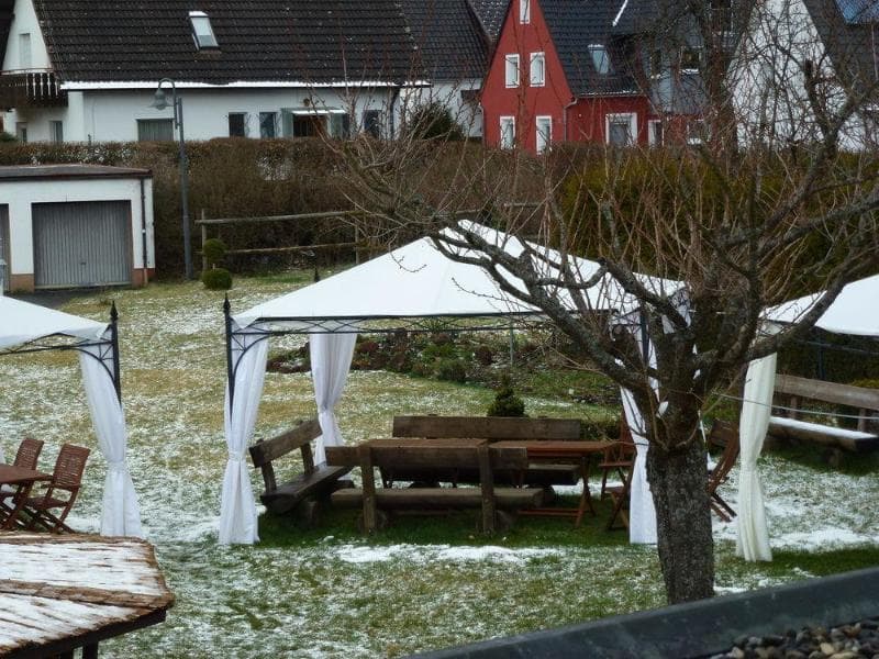 Waldblick 3