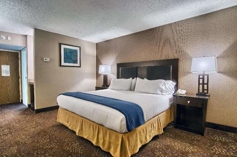 Holiday Inn Express Detroit - Birmingham 4