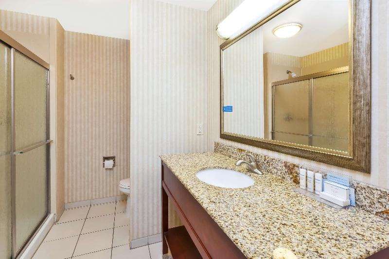 Hampton Inn Detroit/Southgate 5