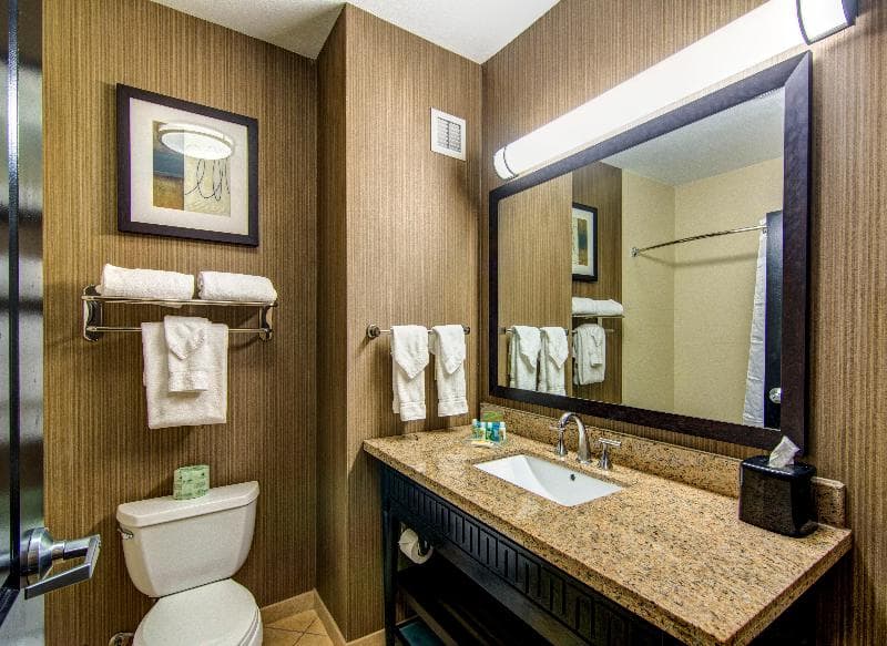 Holiday Inn Arlington Ne-Rangers Ballpark 3