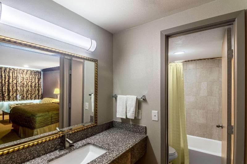 Rodeway Inn Arlington 3