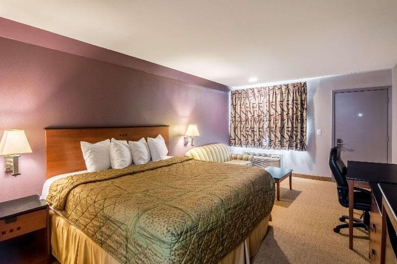 Rodeway Inn Arlington 4