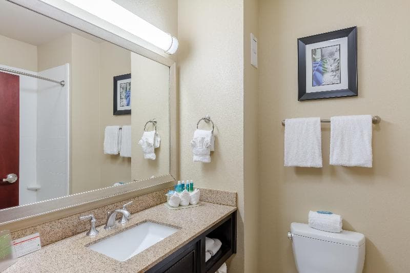 Holiday Inn Express Hotel & Suites Dallas West 3