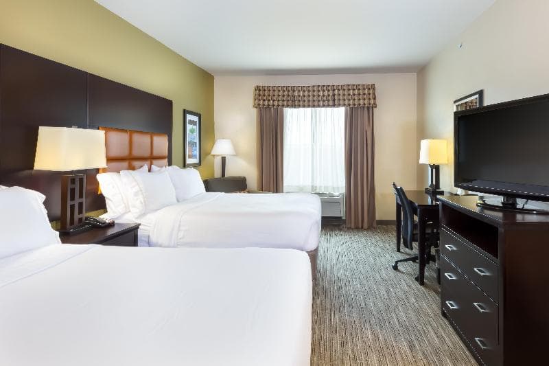 Holiday Inn Express Hotel & Suites Dallas West 4