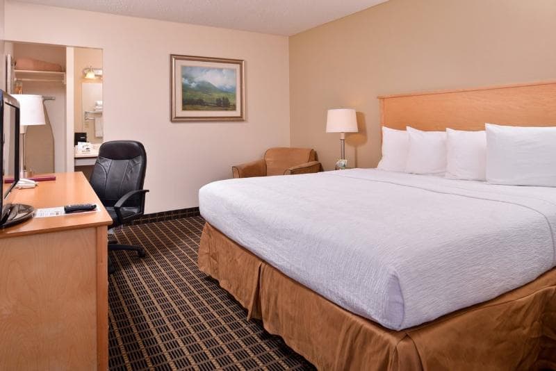 Campus Inn & Suites 5