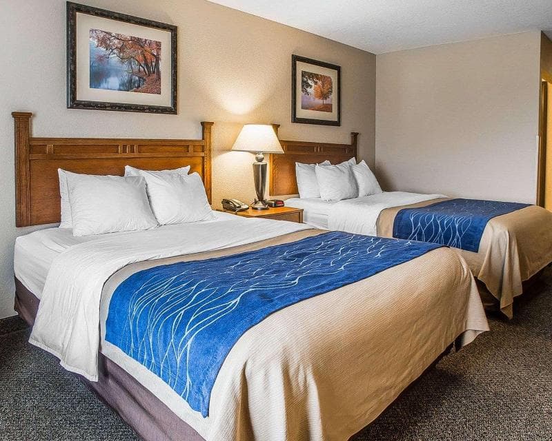 Comfort Inn & Suites 5