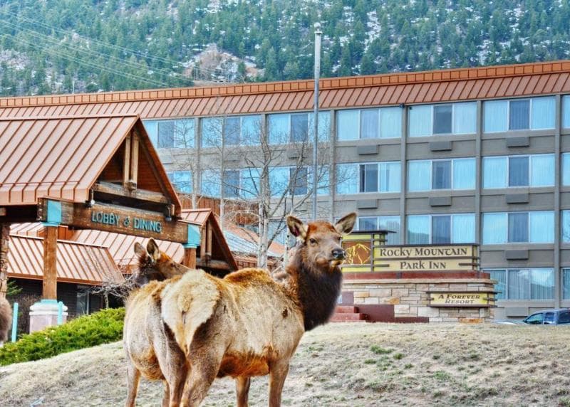 The Ridgeline Hotel Estes Park, An Ascend Hotel Collection Member photo 1