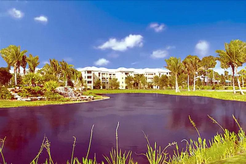Hyatt Residence Club Bonita Springs, Coconut Plantation 5