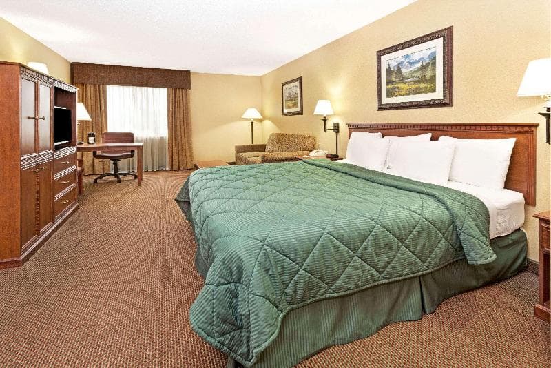 Quality Inn & Suites Wellington - Fort Collins 5