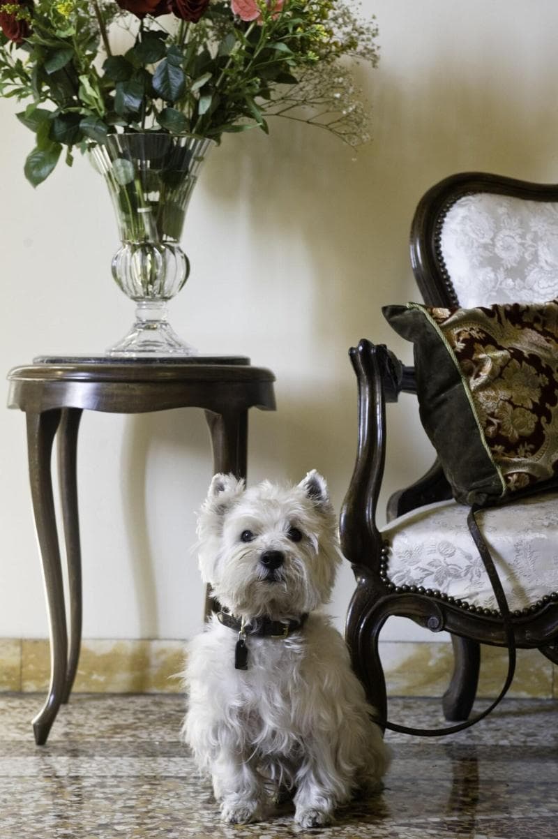 Principe 2