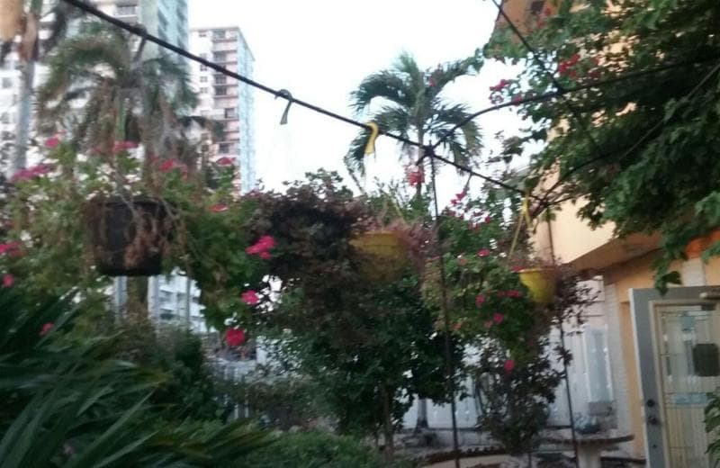 Ebb Tide Resort 3
