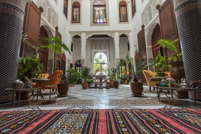 Riad Norma 5