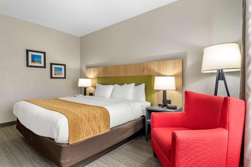 Comfort Inn & Suites 4