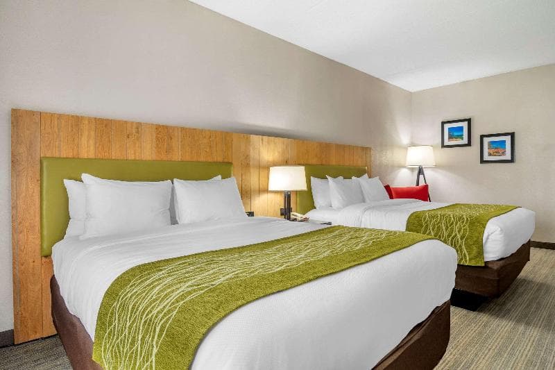Comfort Inn & Suites 5