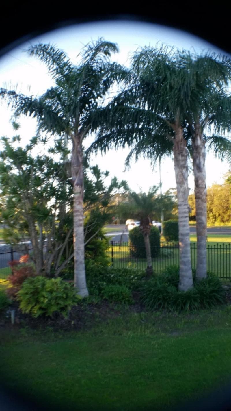 Avlon Gardens Motel 5