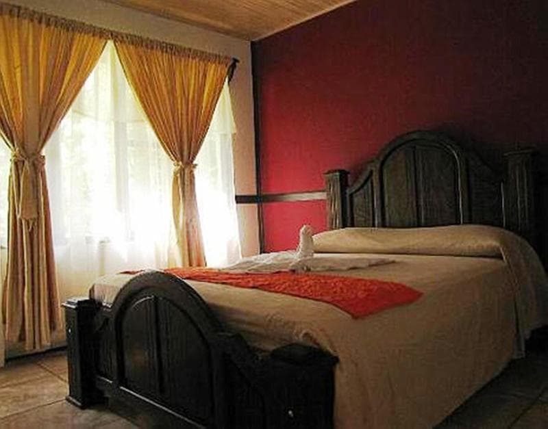 Ara Ambigua Lodge 5