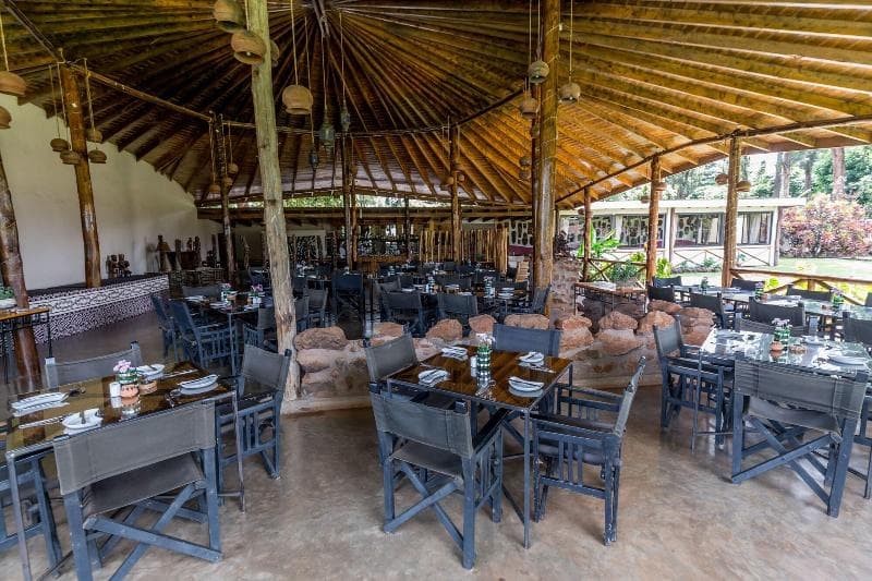 Ameg Lodge Kilimanjaro 3