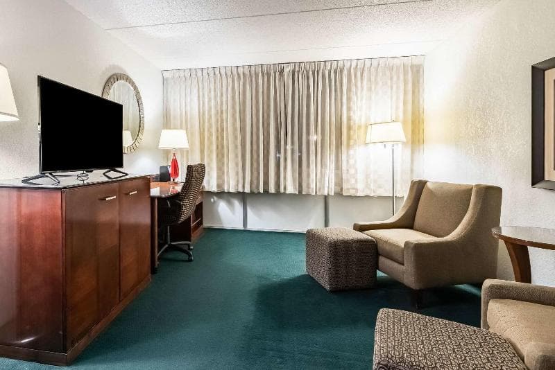 Quality Inn And Suites (Ex Americas Best Value Inn) 4