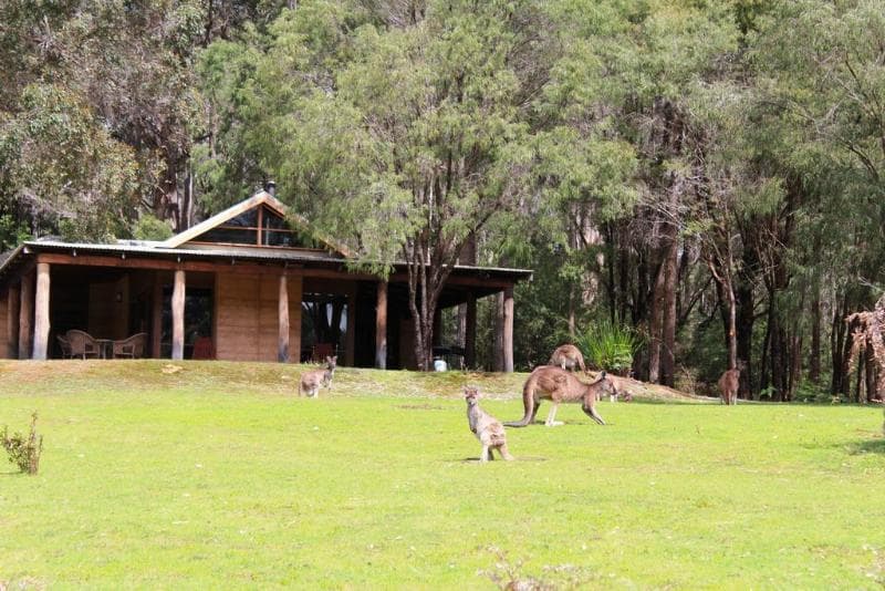 Marima Cottages main