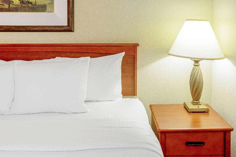 La Quinta Inn & Suites By Wyndham Appleton College Avenue 3