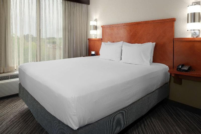 Hyatt Place Atlanta/Alpharetta/Windward Parkway 5