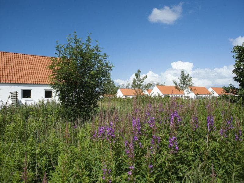 Feriecenter Skagen Strand Hulsig photo 1