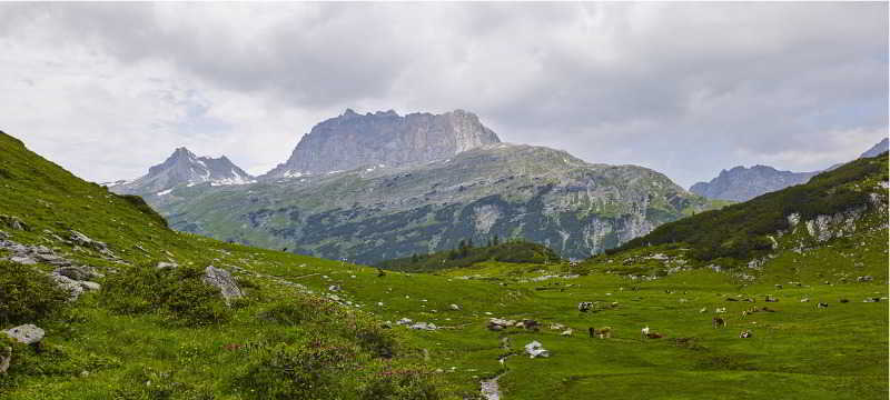 Landhaus Sonnblick photo 1