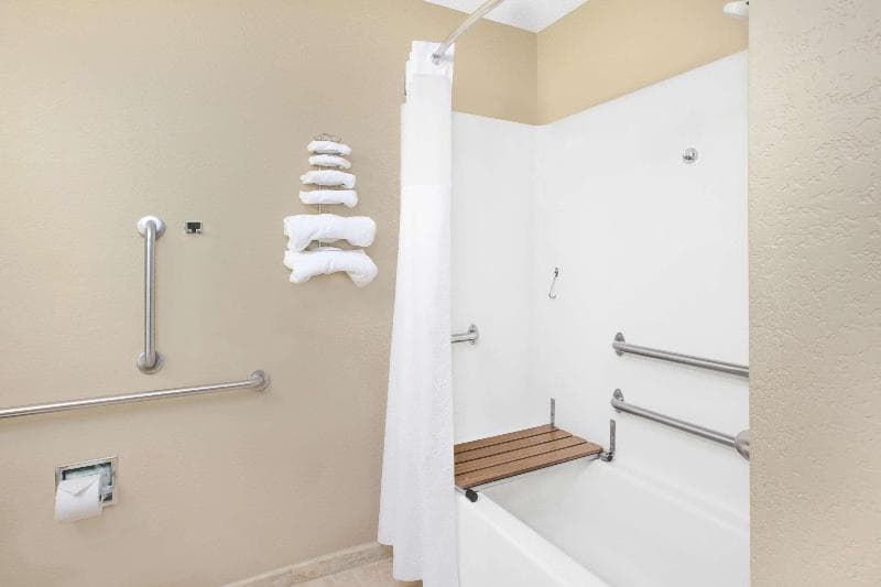 Microtel Inn & Suites By Wyndham Clear Lake 3