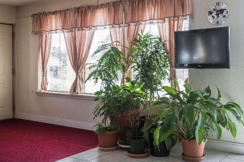 Rodeway Inn & Suites Marietta 4