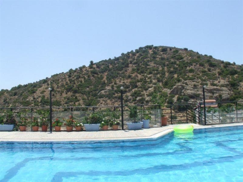 Petra Hotel main