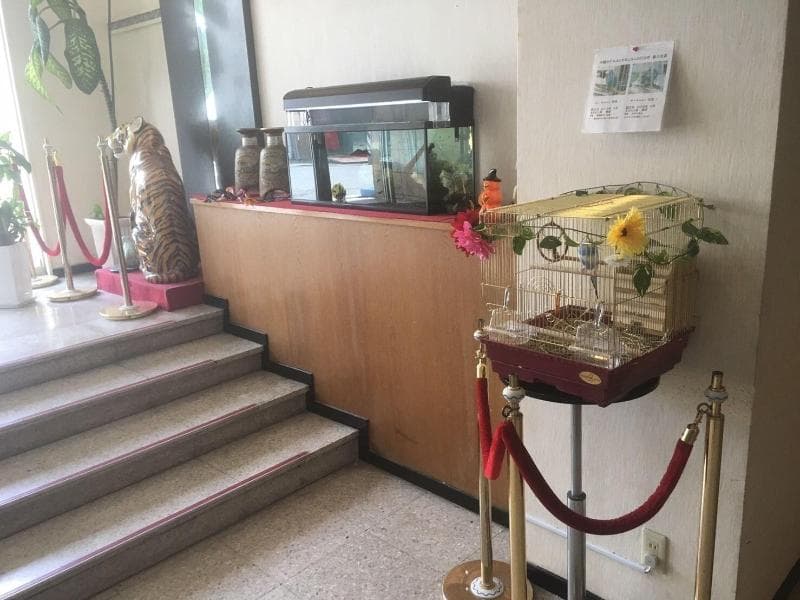 Okinawa Hotel Continental 4