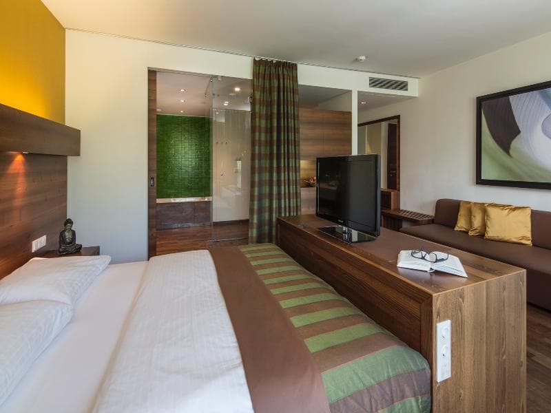 Asia Hotel & Spa Leoben 4