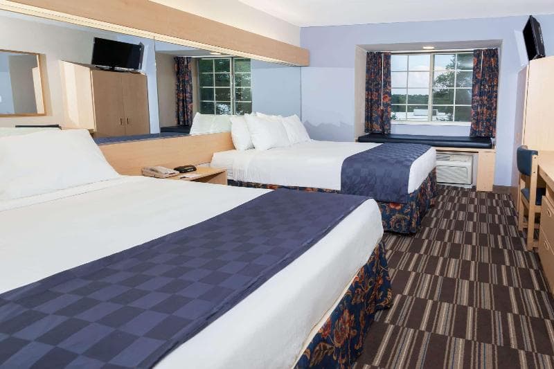 Microtel Inn & Suites By Wyndham Conyers Atlanta Area 4