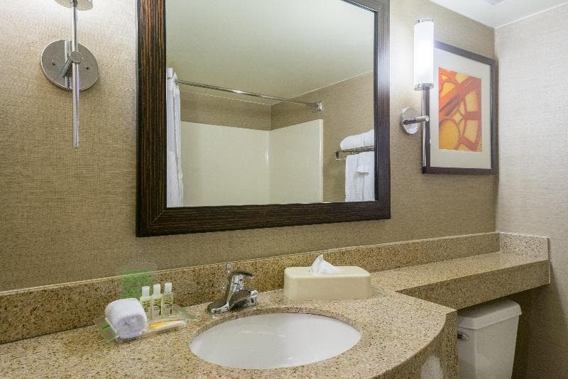 Holiday Inn Harrisburg (Hershey Area) I-81 3