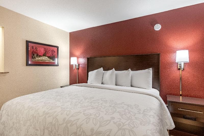 Red Roof Plus+ & Suites Houston – Iah Airport Sw 5