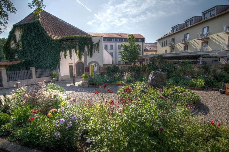 Zeiskamer Mühle 4