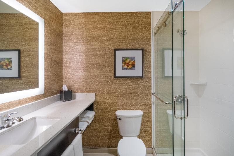 Holiday Inn Terre Haute 5