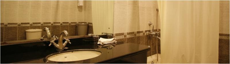 Ranthambhore Regency 5