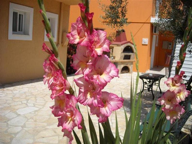 Erietta Studios 4