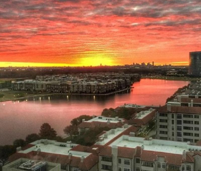 Sonesta Simply Suites Dallas Las Colinas photo 1