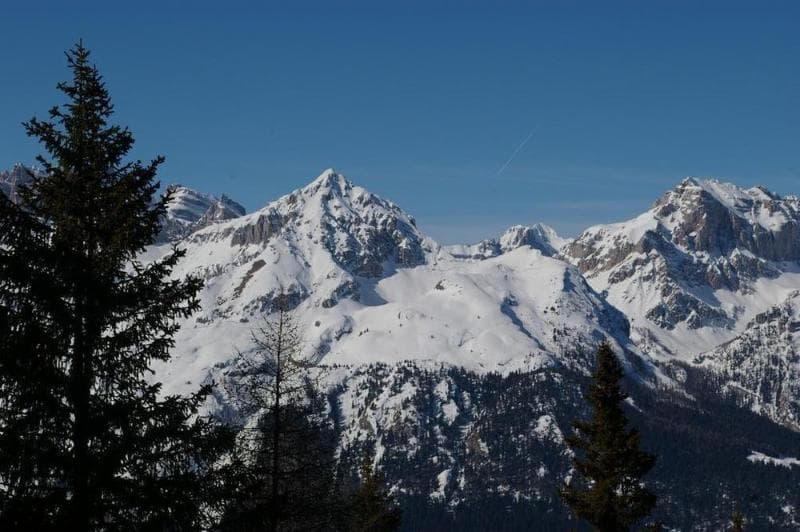 Dal Bon 4