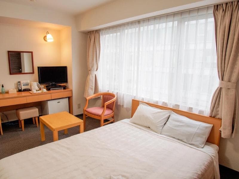 Hotel Shin Osaka 5