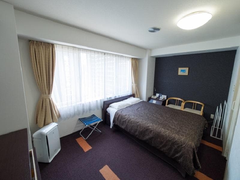 Hotel Shin Osaka 4