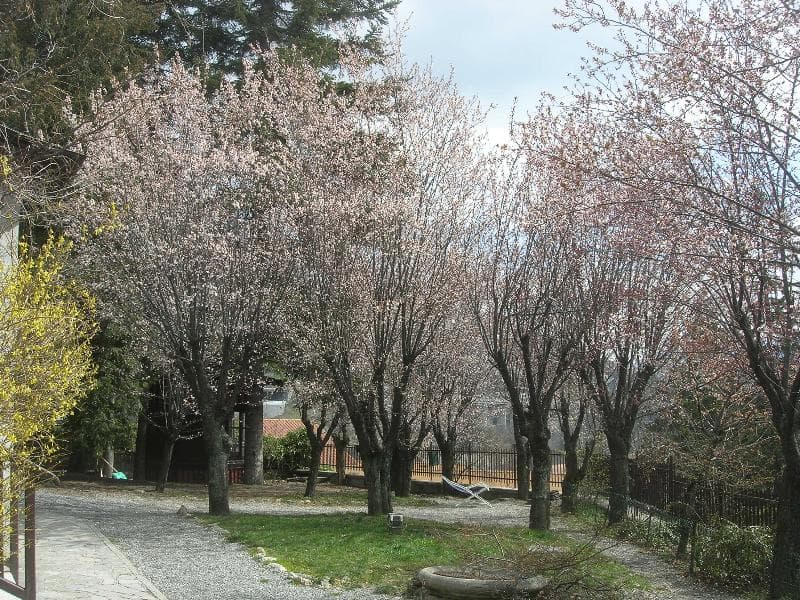 Frejus Case Vacanza Bardonecchia - Appartamenti Bardonecchia 3
