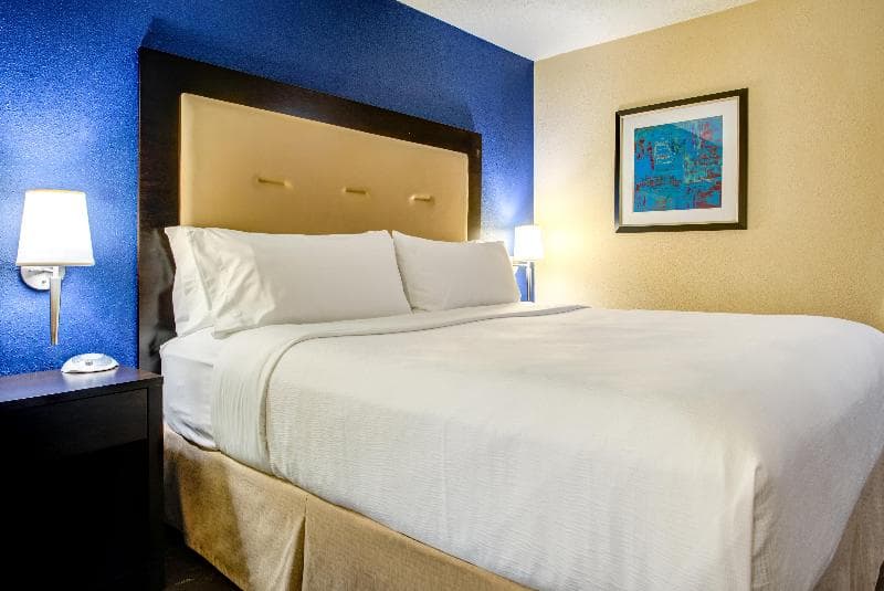 Holiday Inn Indianapolis North - Carmel 5