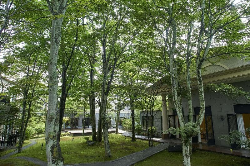 Kyukaruizawa Kikyo, Curio Collection by Hilton 4