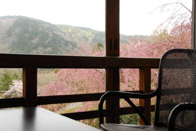 Mikawaya Ryokan photo 1