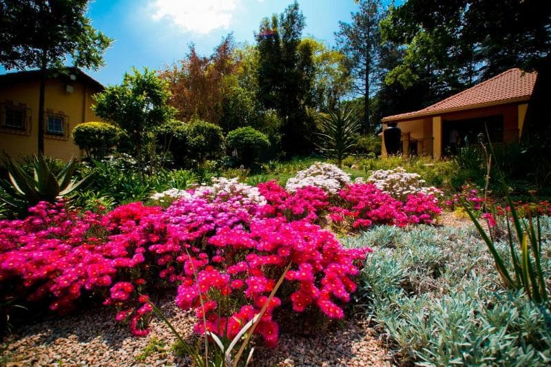 Little Tuscany Boutique Hotel 4